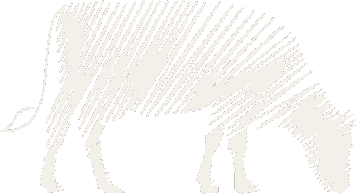 Ilustração de bovino da identidade visual CASIMA